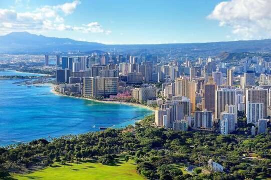 Deluxe Near Waikiki - Free Parking